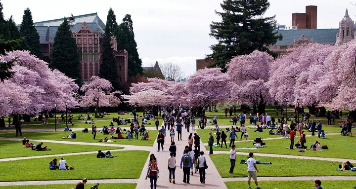 نمایی از دانشگاه واشینگتن یکی از بهترین دانشگاه های جهان