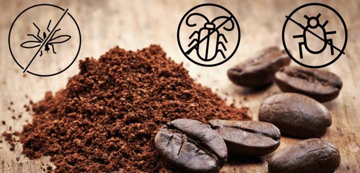 دور کردن حشرات با استفاده از پودر و تفاله قهوه