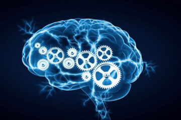 انسان در حافظه کوتاه مدت, تقویت حافظه, تقویت ذهن, تقویت هوش, ذهن, ذهن آگاهی, ذهن قدرتمند, کوچک شدن مغز
